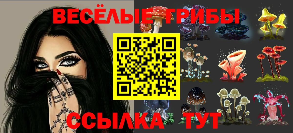 Псилоцибиновые грибы Psilocybine cubensis Красноуфимск