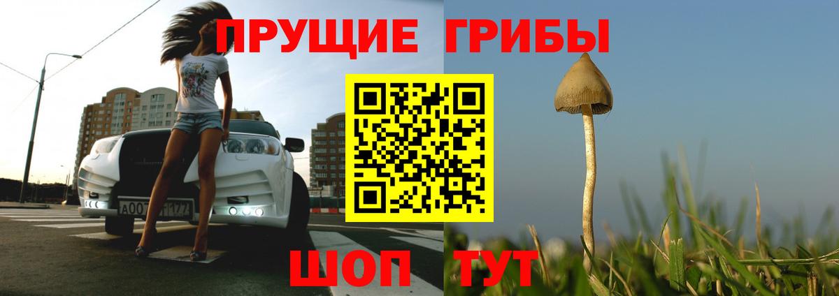 Красноуфимск  купить наркотики цена  Галлюциногенные грибы Psilocybine cubensis  Вход с VPN  Галлюциногенные грибы Magic Shrooms 